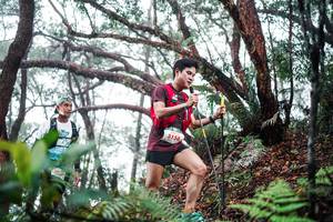 BIB: 
                            <button type="button" onclick="openModal(26295724)" class="btn btn-primary btn-sm float-right btn-popup" data-toggle="modal" data-target=".modal-high-quality">
                        <i class="fas fa-shopping-cart"></i> Add to Cart
                    </button>
                                            <button type="button" onclick="isThisMe(26295724, true)" class="btn btn-success btn-sm float-right btn-popup btn-isme hidden" data-toggle="tooltip" data-placement="bottom" title="นี่คือรูปของคุณใช่ไหม คลิกที่นี่เพื่อเอาเข้าอัลบั้ม">
                        <i class="fas fa-plus"></i> Add to album
                    </button>
                    <button type="button" onclick="isThisMe(26295724, false)" class="btn btn-warning btn-sm float-right btn-popup btn-isnotme hidden">
                        <i class="fas fa-ban"></i> Remove from album
                    </button>